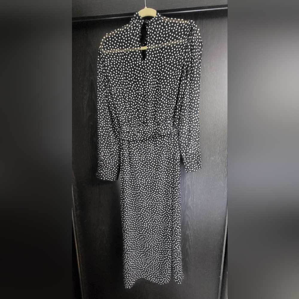 Zara Black and White Polka Dot Midi Dress - Picture 6 of 11